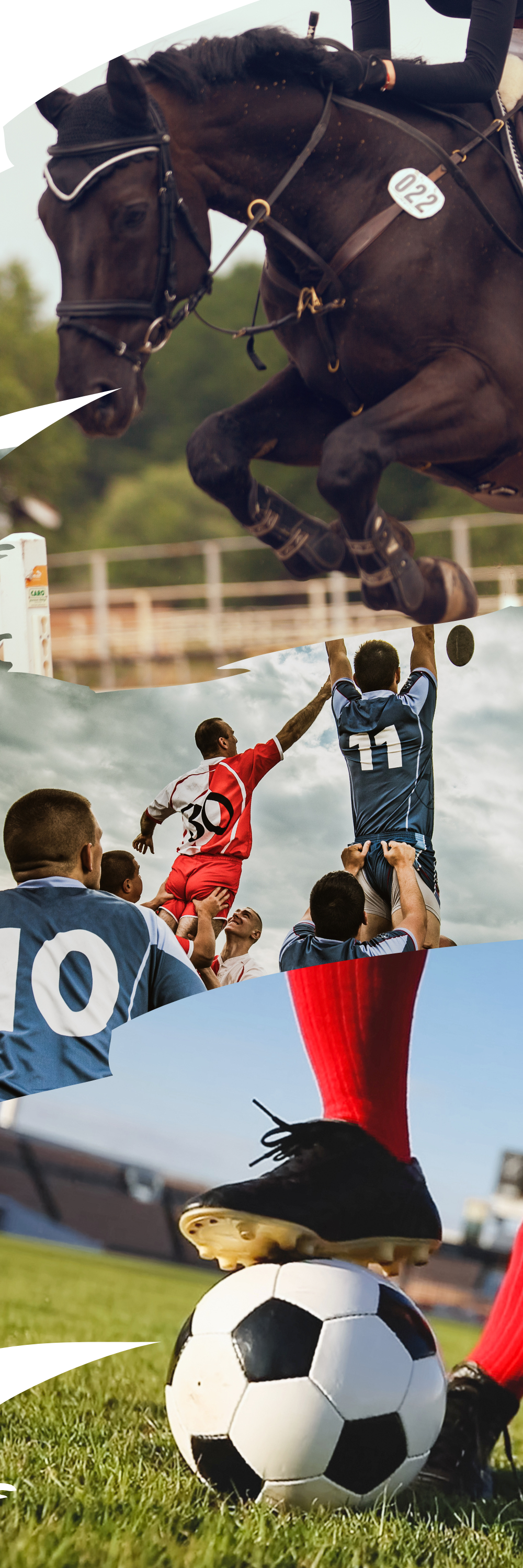 Elite Sports Travel Insurance